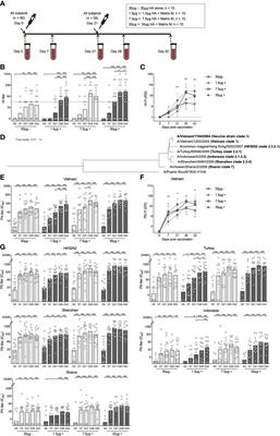 Matrix M Adjuvanted H5N1 Vaccine Elicits Broadly Neutralizing Antibodies and Neuraminidase Inhibiting Antibodies in Humans That Correlate With In Vivo Protection